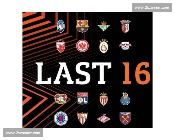 官方正版权威意甲APP下载指南实时赛程数据精彩集锦一站获取