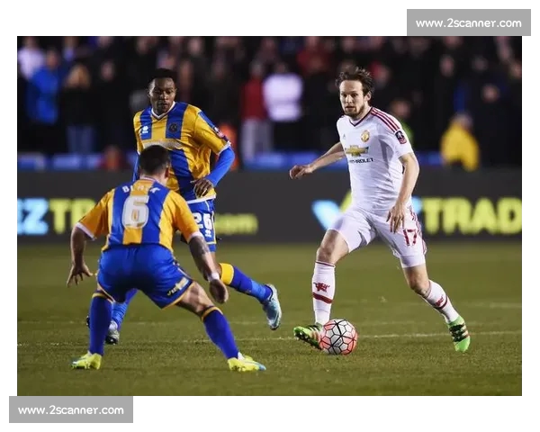 高清足球赛事直播APP下载指南畅享全球赛场精彩即时比分数据分析权威解说 - 副本 - 副本 (36) - 副本